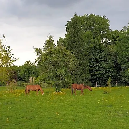 D'hote Normande Oda ve Kahvaltı 3*