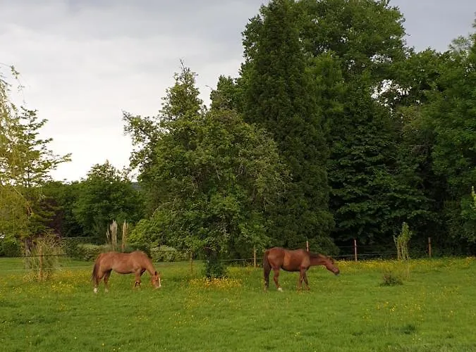 D’hôte Normande Couette-café Freneuse-Sur-Risle