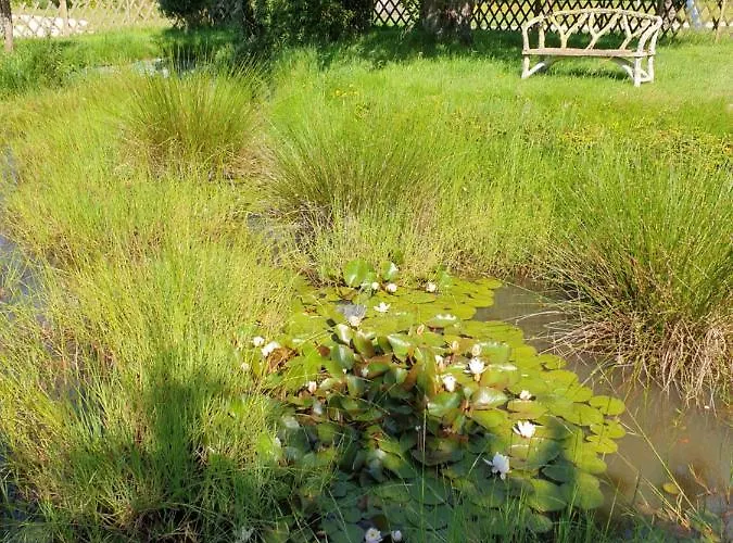 D’hôte Normande 3*